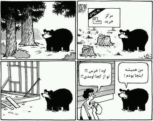 کشتار درختان درآخر همین است