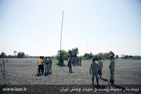 مقابله با شکار پرندگان مهاجر